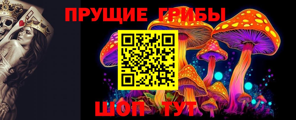 Галлюциногенные грибы прущие грибы  Вход с VPN  Назрань 