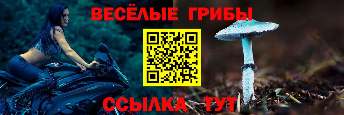 Псилоцибиновые грибы GOLDEN TEACHER Назрань